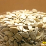 해바라기씨1kg(등급:최상)