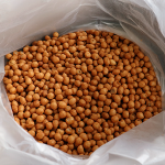 오란다알알이4kg(영남)