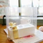 투명 비닐백(소,M형,10장)