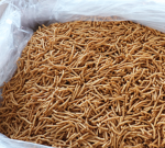 오란다 까불이4kg(영남)