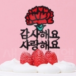 장식용 토퍼(카네이션,감사해요,사랑해요)