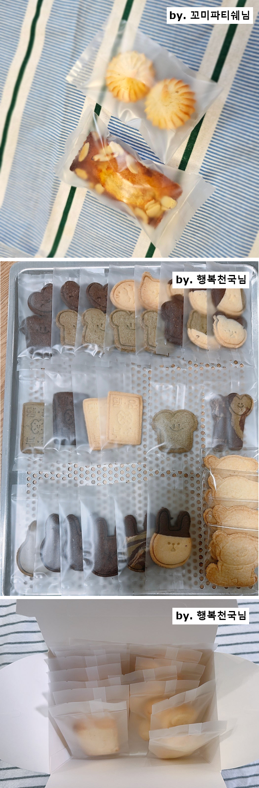 주용도
