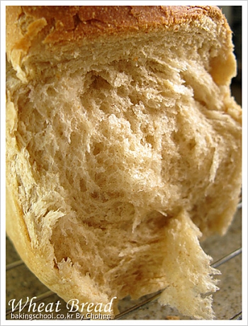 버터밀크 통밀식빵