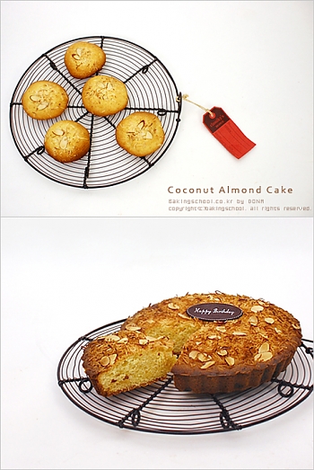 코코넛 아몬드 케이크 & 쿠키