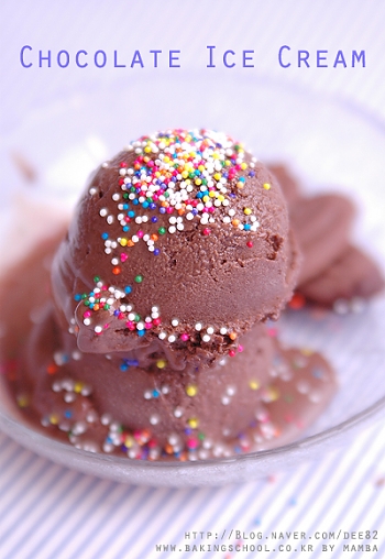 초코 아이스크림
