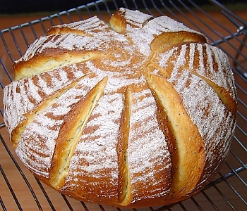 파피시드(포피시드)  밀크빵 